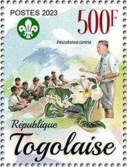 Scouts & Pescatorea cerina